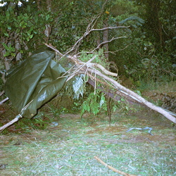 Zacs Hutt 2000